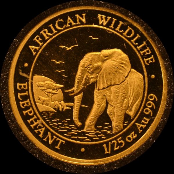 Hovedbilde Somalia: 50 shillings 2010 - Elefanten